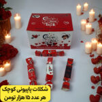 پاپیونی کوچک